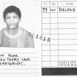 player-cards-725