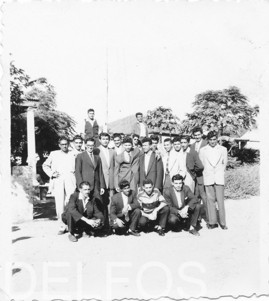 delfos-50s-4