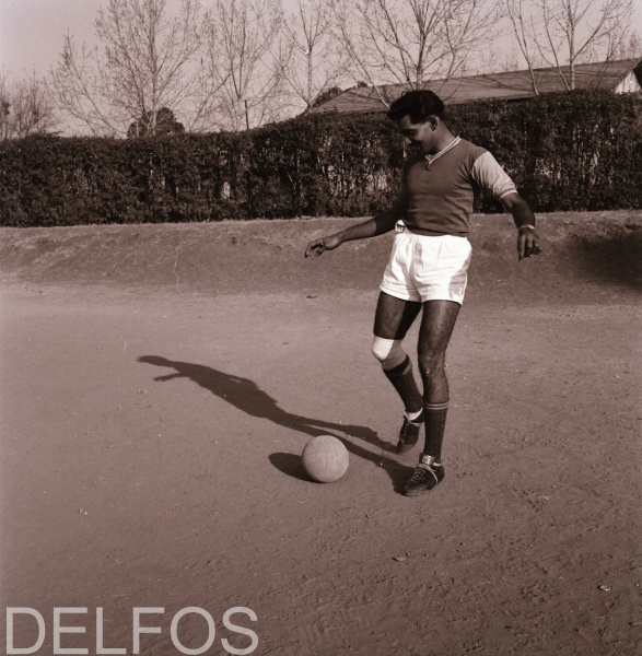 delfos-60s-35